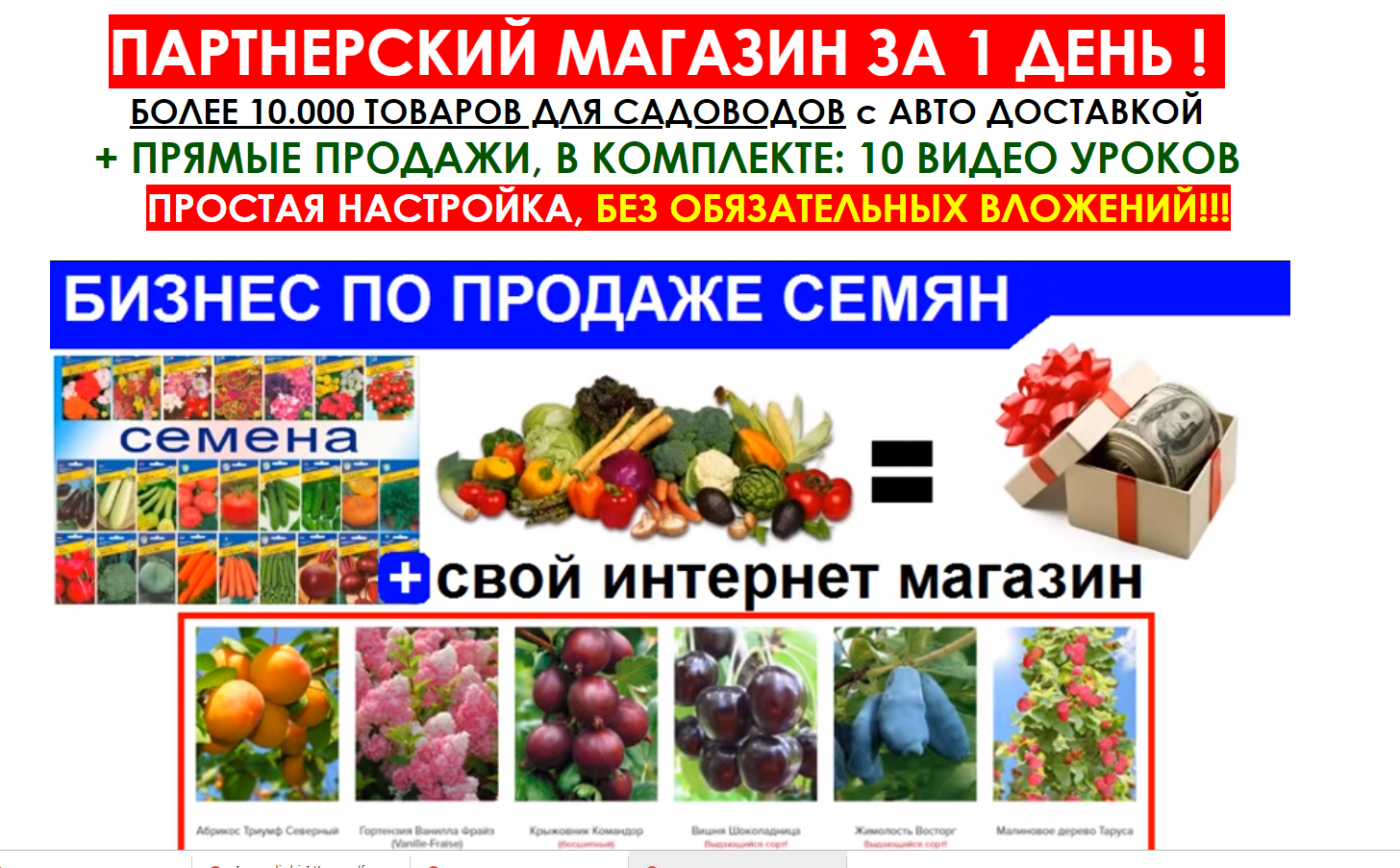 [Алексей Фадеев] Сверхприбыльный бизнес по продаже_0.png